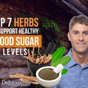 Top 7 Herbs to Support Healthy Blood Sugar Levels