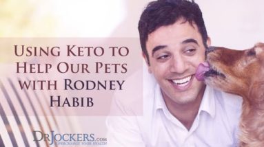 Using Keto to Help Our Pets with Rodney Habib